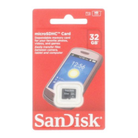 SanDisk 32 GB microSDHC Class 4 Memory Card