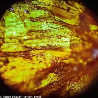 Digitální mikroskop Levenhuk Rainbow D50L PLUS 2M, Moonstone