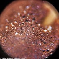 Mikroskop Levenhuk Rainbow 50L PLUS LimeLimetka